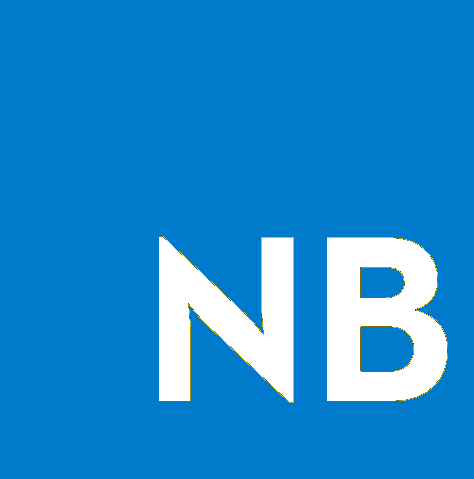 Logo of Nassim Bouziane inspired by the typescript logo
