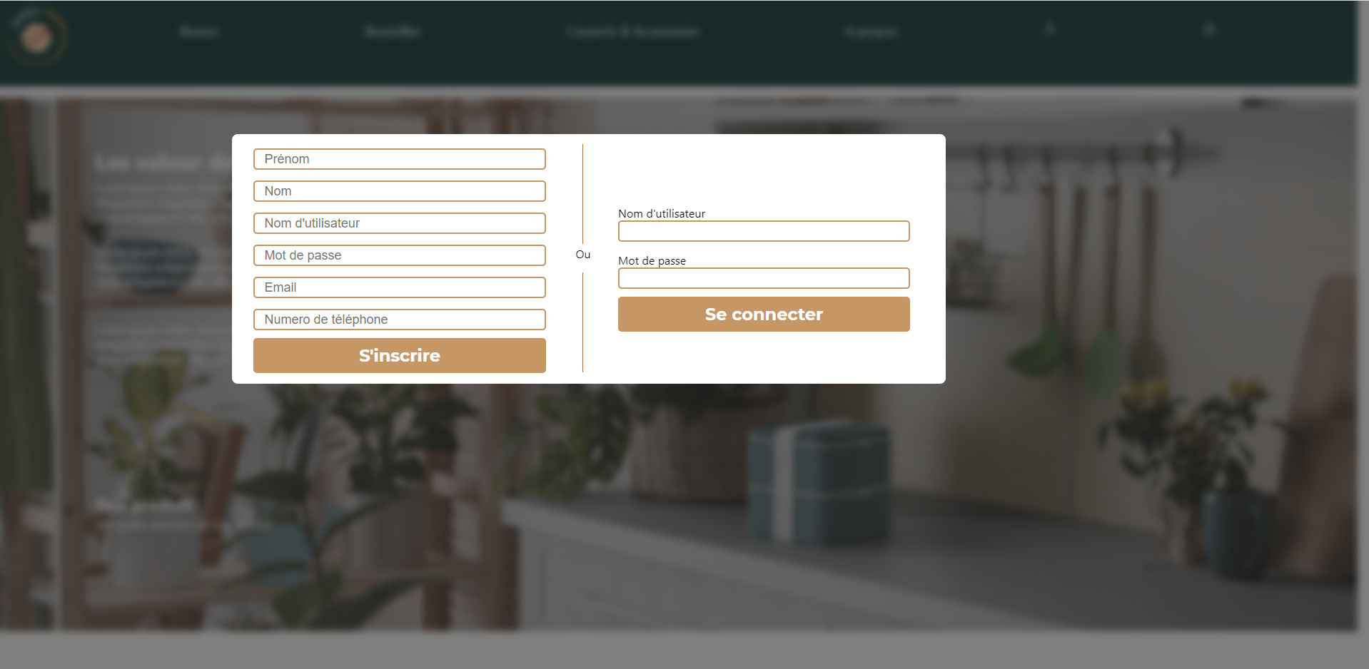 image of project presented