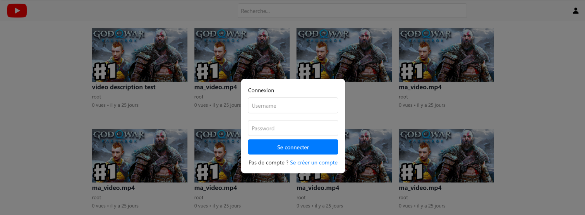 image of project presented